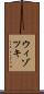 ウィゾツキ Scroll