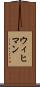 ウィヒマン Scroll