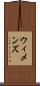 ウィメンズ Scroll