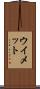 ウイメット Scroll