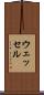 ウェッセル Scroll