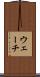 ウェーチ Scroll
