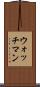 ウォッチマン Scroll