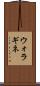 ウォラギネ Scroll