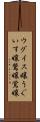 ウグイス嬢 Scroll
