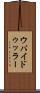 ウバイドゥッラー Scroll