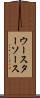 ウースターソース Scroll