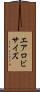 エアロビサイズ Scroll