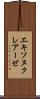 エキソヌクレアーゼ Scroll