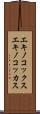 エキノコックス Scroll
