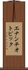 エナンチオトピック Scroll