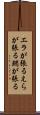 エラが張る Scroll