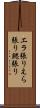 エラ張り Scroll