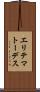 エリテマトーデス Scroll