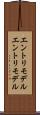 エントリモデル Scroll
