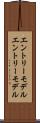 エントリーモデル Scroll