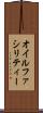 オイルファシリティー Scroll