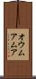 オウムアムア Scroll