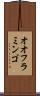 オオフラミンゴ Scroll