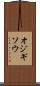 オジギソウ Scroll
