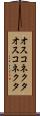 オスコネクタ Scroll