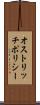 オストリッチポリシー Scroll