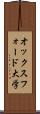 オックスフォード大学 Scroll