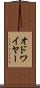 オドワイヤー Scroll