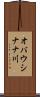オバウシナナ川 Scroll