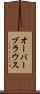 オーバーブラウス Scroll