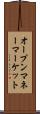 オープンマネーマーケット Scroll