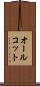 オールコット Scroll