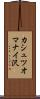 カシュツオマナイ沢 Scroll