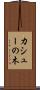 カシューの木 Scroll