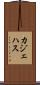 カジェハス Scroll