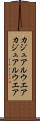 カジュアルウエア Scroll