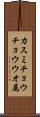 カスミチョウチョウウオ属 Scroll