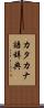 カタカナ語辞典 Scroll