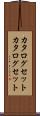 カタログセット Scroll