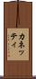 カネッティ Scroll
