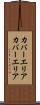 カバーエリア Scroll