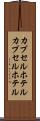 カプセルホテル Scroll