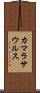 カマラサウルス Scroll