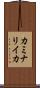 カミナリイカ Scroll