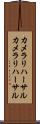 カメラリハーサル Scroll