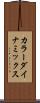 カラー・ダイナミックス Scroll