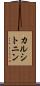 カルシトニン Scroll