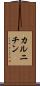 カルニチン Scroll