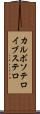 カルボソテロイブステロ Scroll