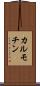 カルモチン Scroll